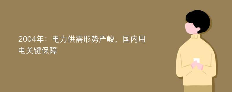 2004年：电力供需形势严峻，国内用电关键保障