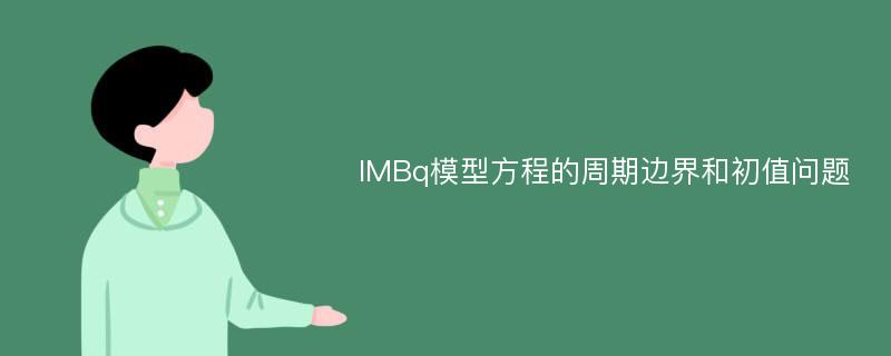 IMBq模型方程的周期边界和初值问题