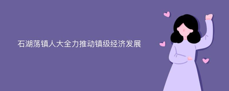 石湖荡镇人大全力推动镇级经济发展