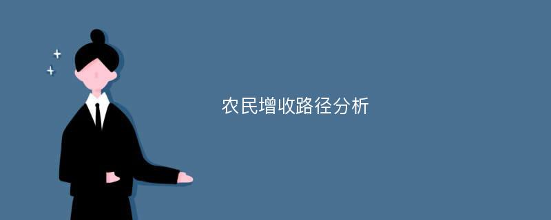 农民增收路径分析