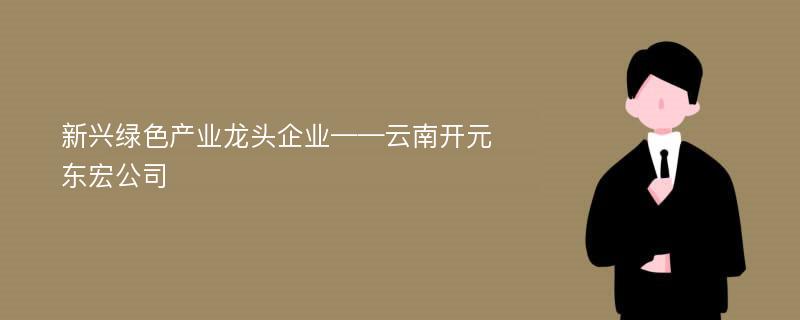 新兴绿色产业龙头企业——云南开元东宏公司