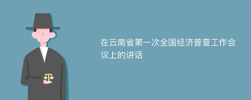 在云南省第一次全国经济普查工作会议上的讲话