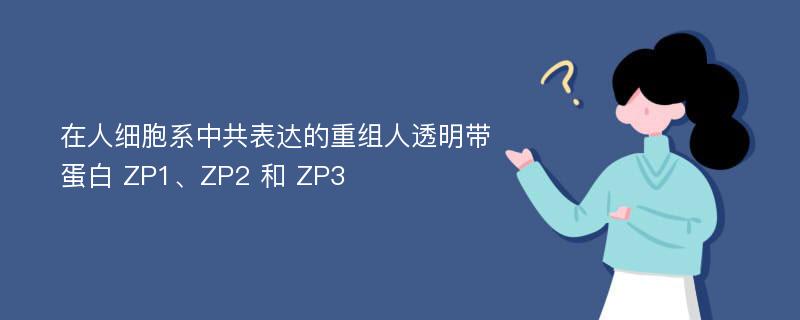 在人细胞系中共表达的重组人透明带蛋白 ZP1、ZP2 和 ZP3