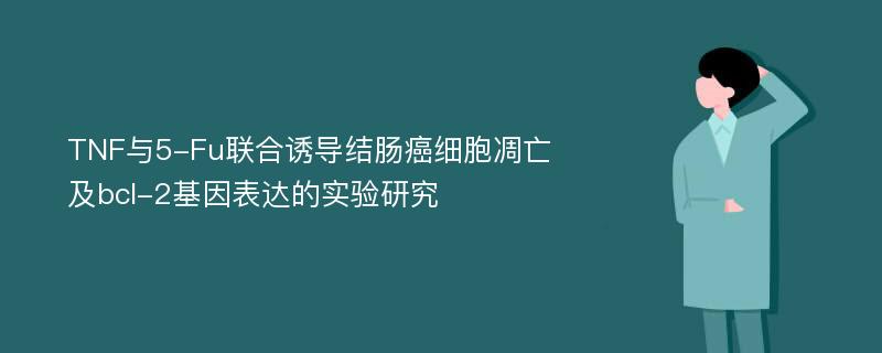 TNF与5-Fu联合诱导结肠癌细胞凋亡及bcl-2基因表达的实验研究