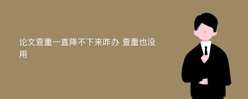 论文查重一直降不下来咋办 查重也没用