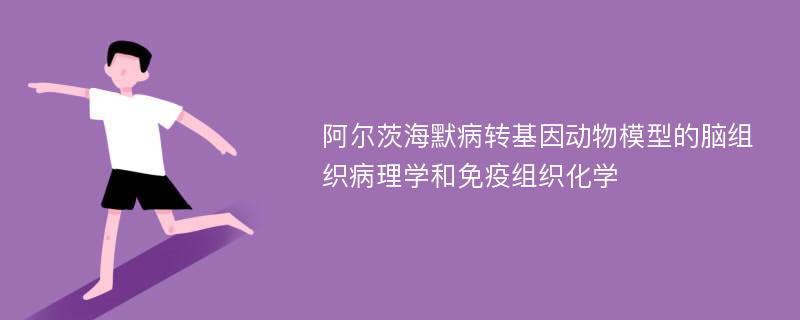 阿尔茨海默病转基因动物模型的脑组织病理学和免疫组织化学