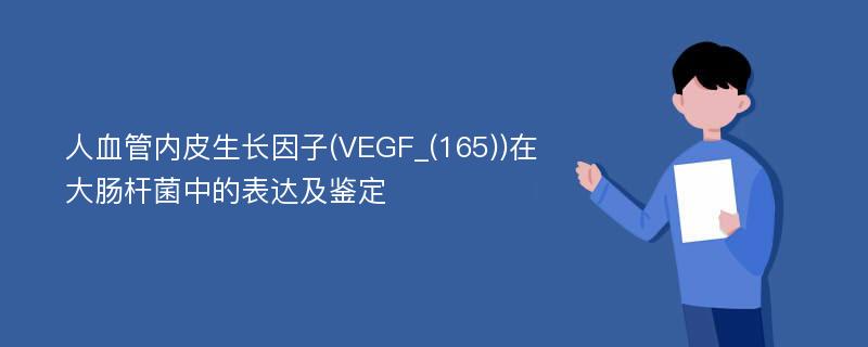 人血管内皮生长因子(VEGF_(165))在大肠杆菌中的表达及鉴定